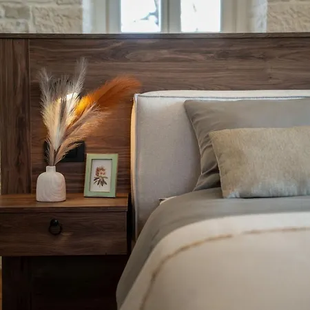 Paladnjaki Villa Žminj