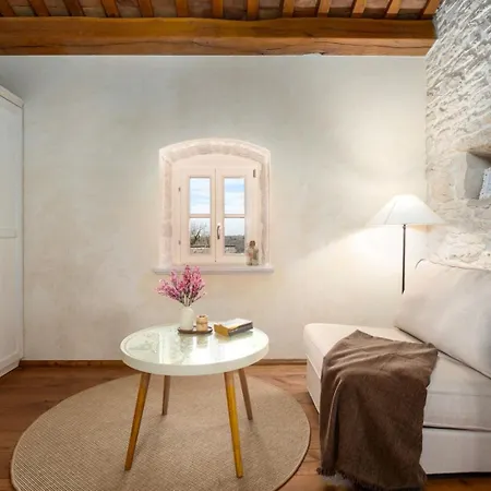 Paladnjaki Villa Žminj