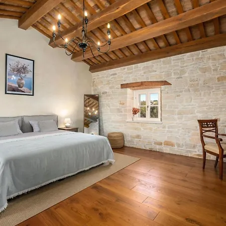 Paladnjaki Villa Žminj