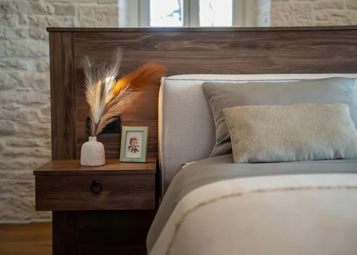 Paladnjaki Villa Žminj