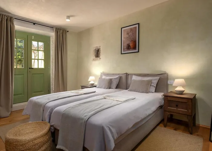 Villa Paladnjaki Zminj